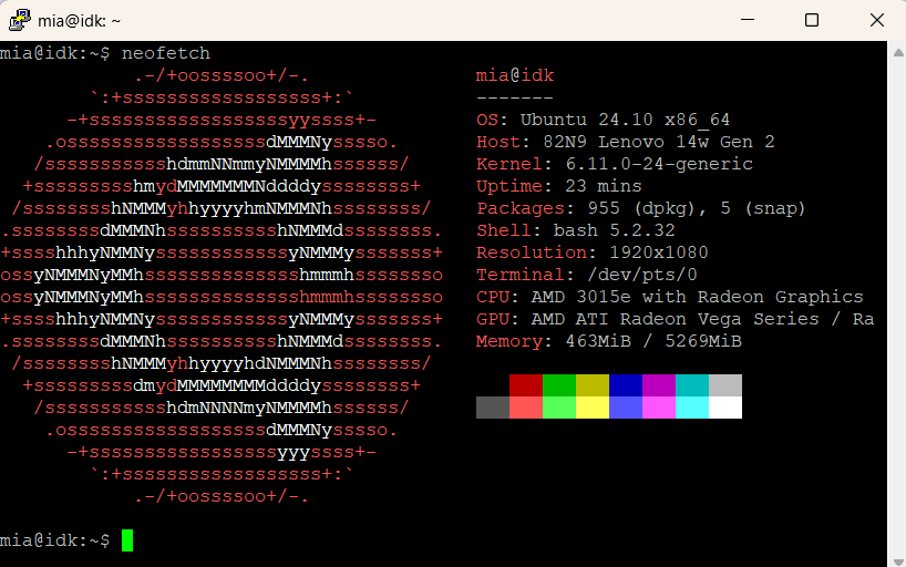 Terminal montrant l'installation